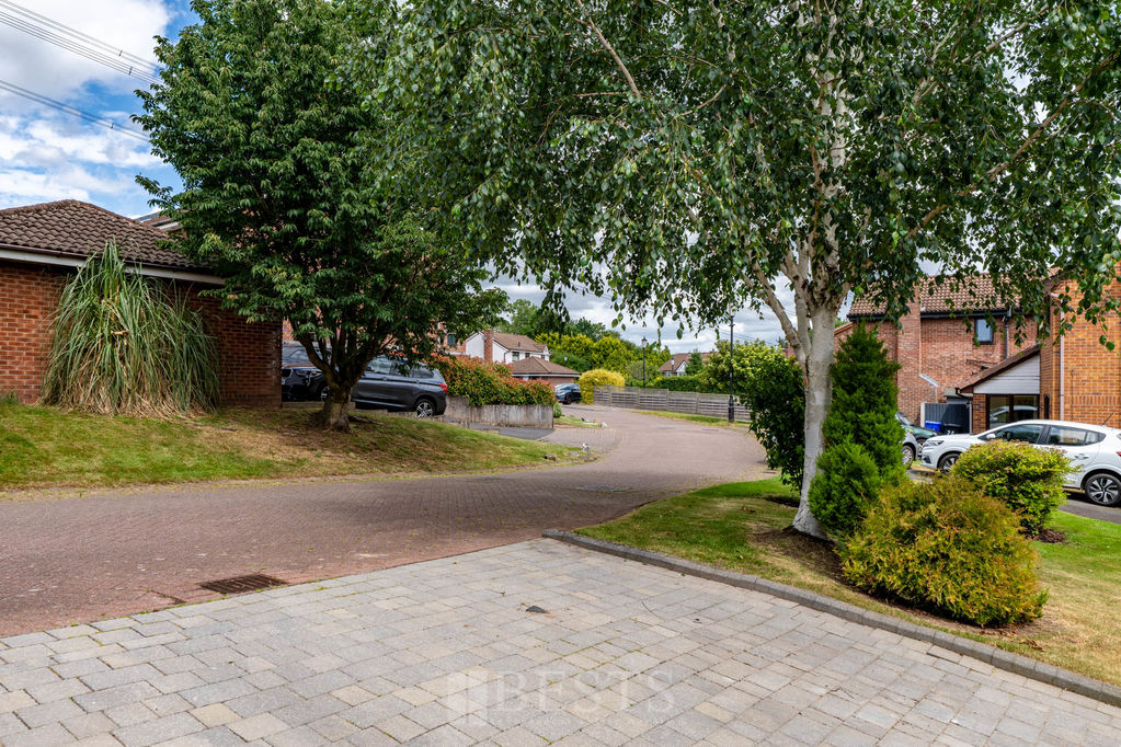 Barncroft Norton